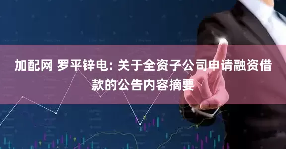 加配网 罗平锌电: 关于全资子公司申请融资借款的公告内容摘要