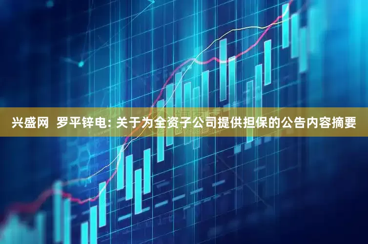 兴盛网  罗平锌电: 关于为全资子公司提供担保的公告内容摘要