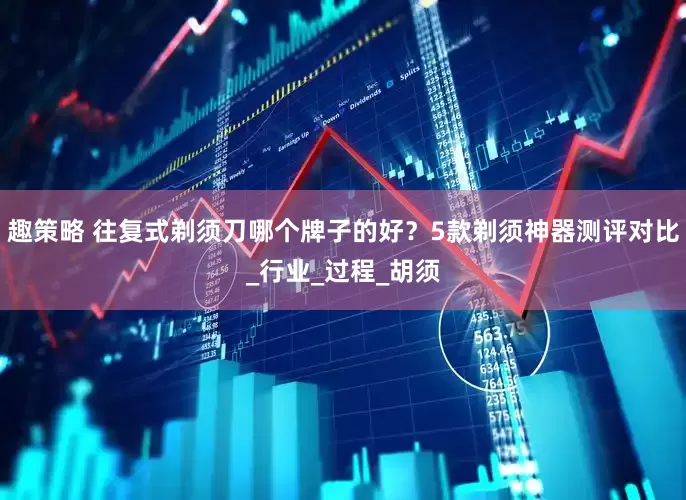 趣策略 往复式剃须刀哪个牌子的好？5款剃须神器测评对比_行业_过程_胡须