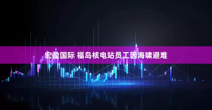 宏盈国际 福岛核电站员工因海啸避难