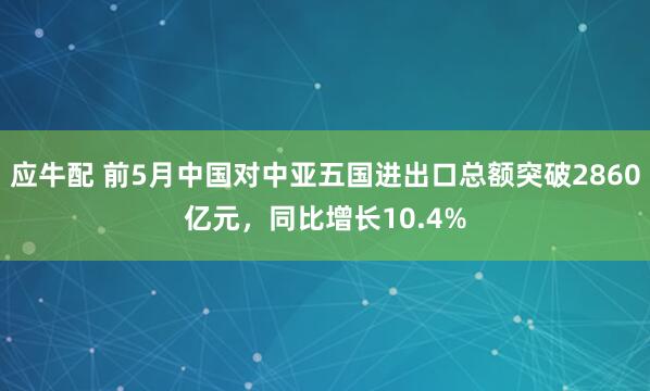 应牛配 前5月中国对中亚五国进出口总额突破2860亿元，同比增长10.4%